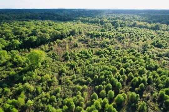 98.33 acres in Texas County - photo 41