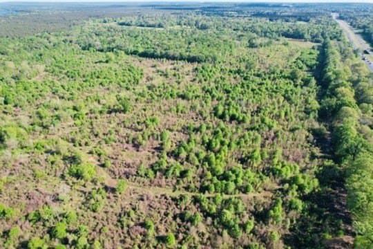 98.33 acres in Texas County - photo 45
