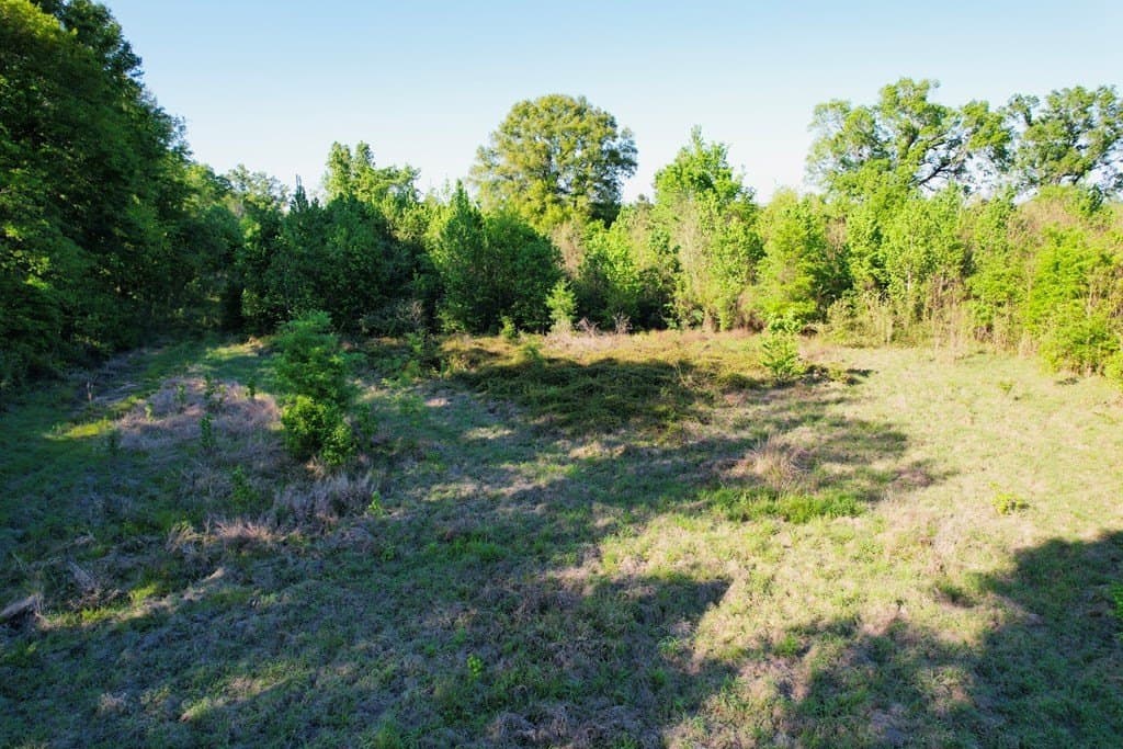 98.33 acres in Texas County - photo 31