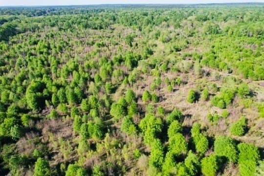 98.33 acres in Texas County - photo 9