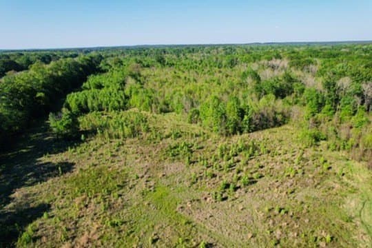 98.33 acres in Texas County - photo 8