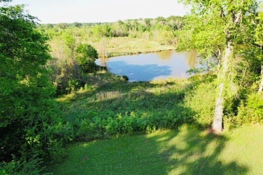 98.33 acres in Texas County - photo 24