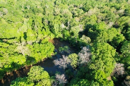 98.33 acres in Texas County - photo 50