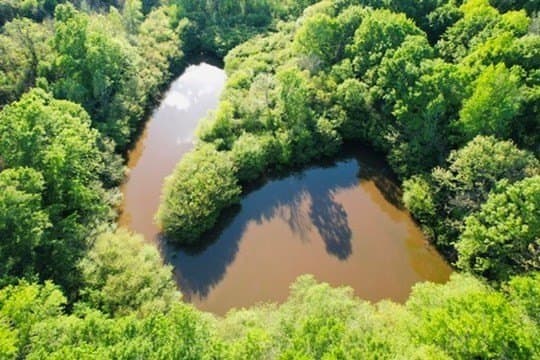 98.33 acres in Texas County - photo 39