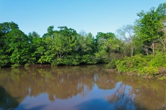 98.33 acres in Texas County - photo 7