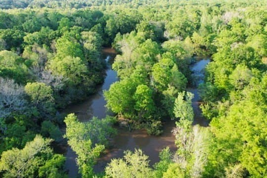 98.33 acres in Texas County - photo 46