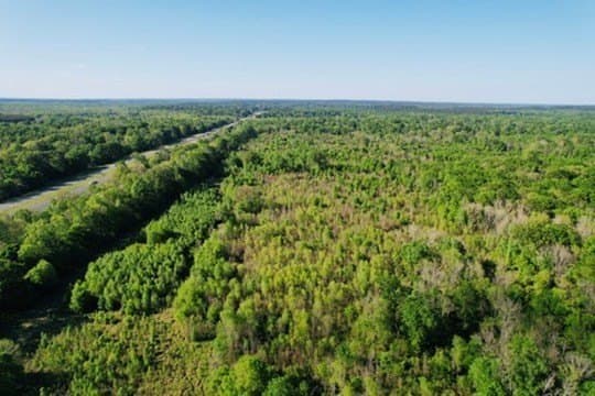 98.33 acres in Texas County - photo 28