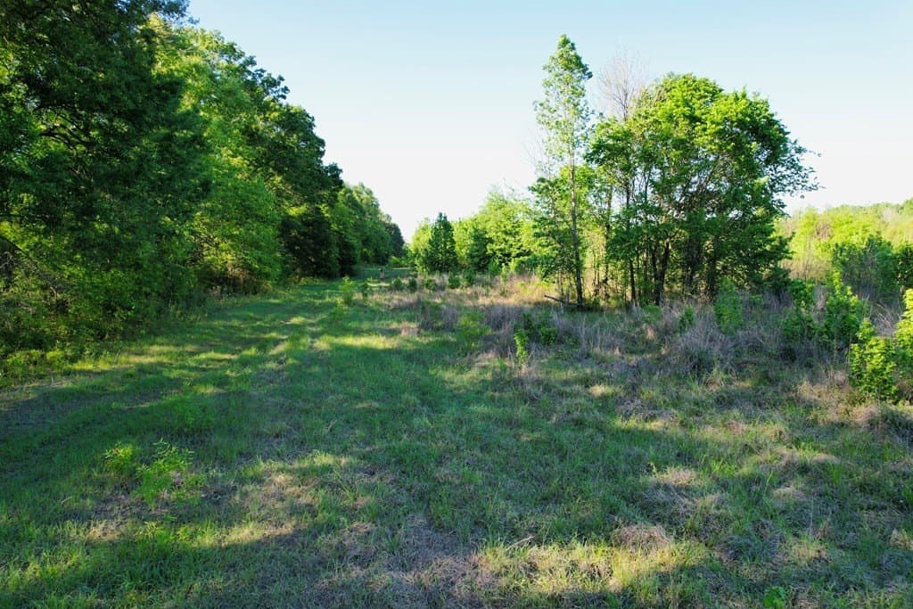 98.33 acres in Texas County - photo 29