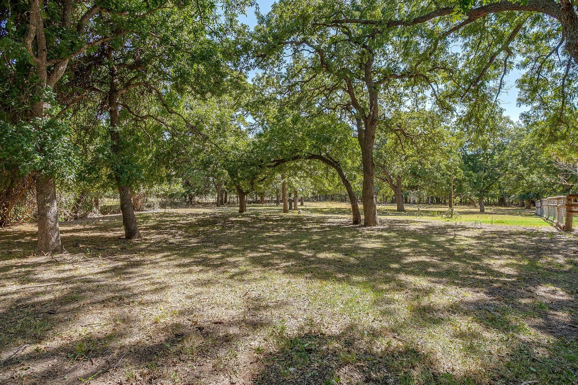 32.57 acres in Jack County - photo 34