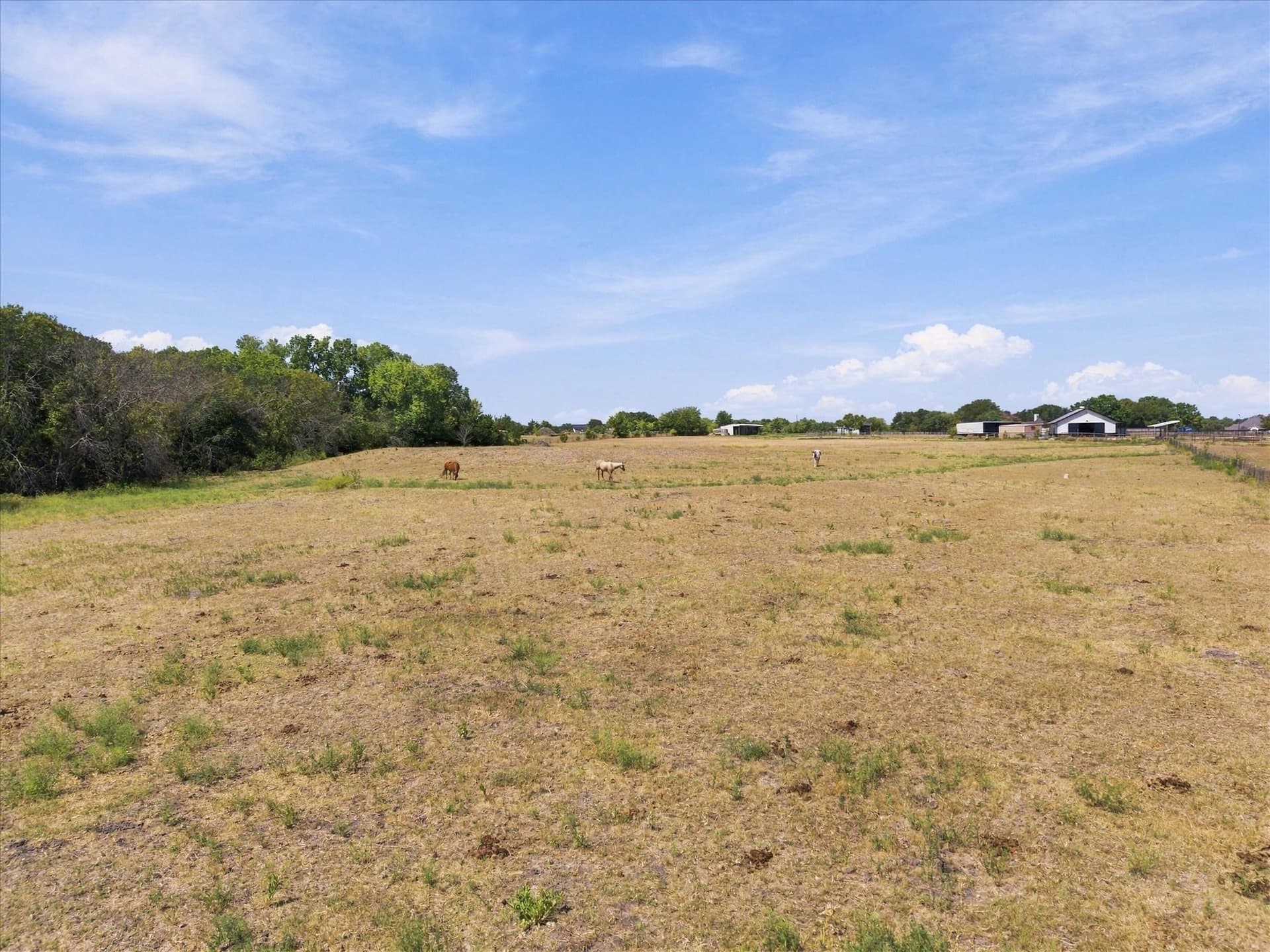 7.75 acres in Rockwall County - photo 9