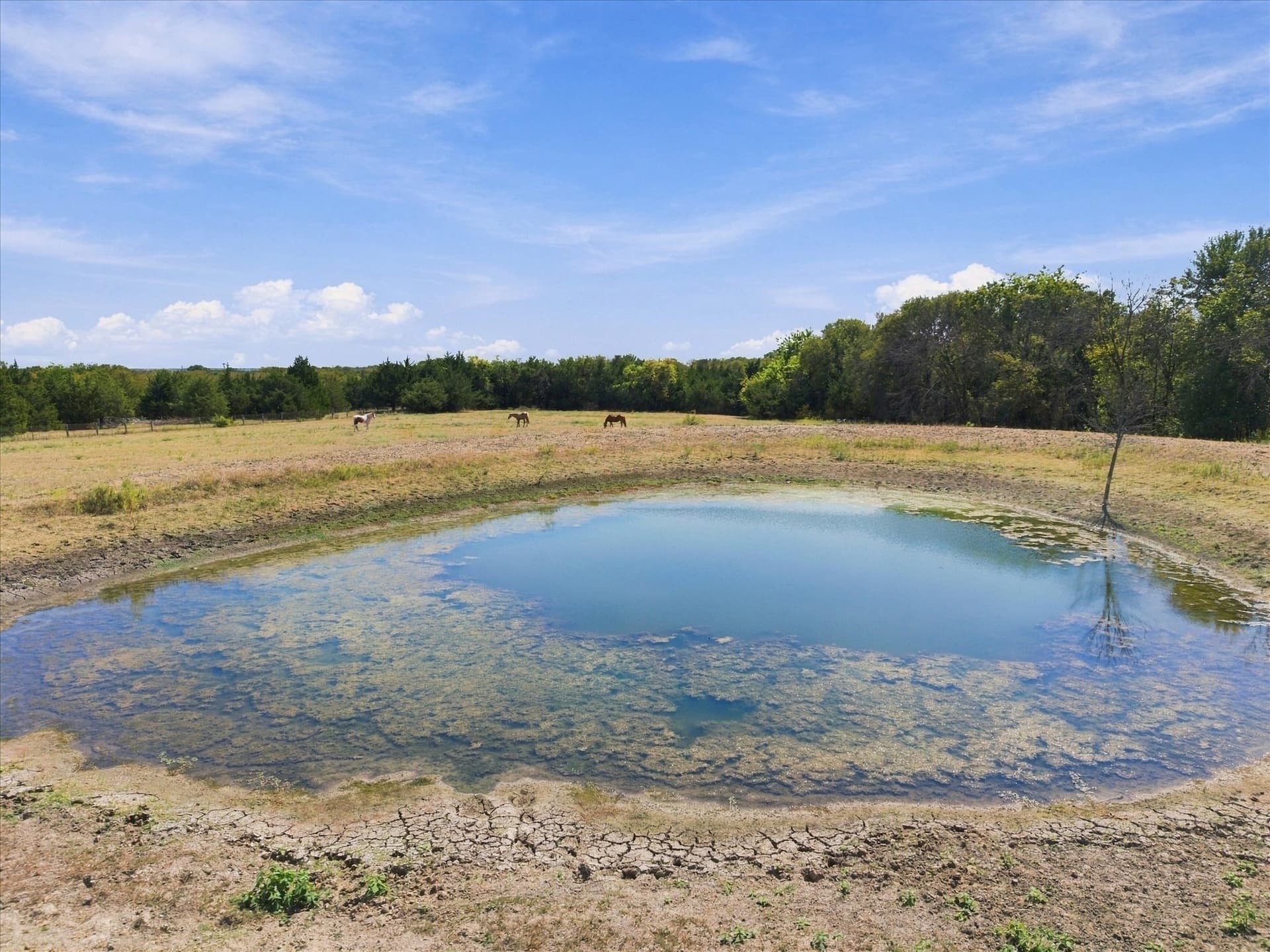 7.75 acres in Rockwall County - photo 12
