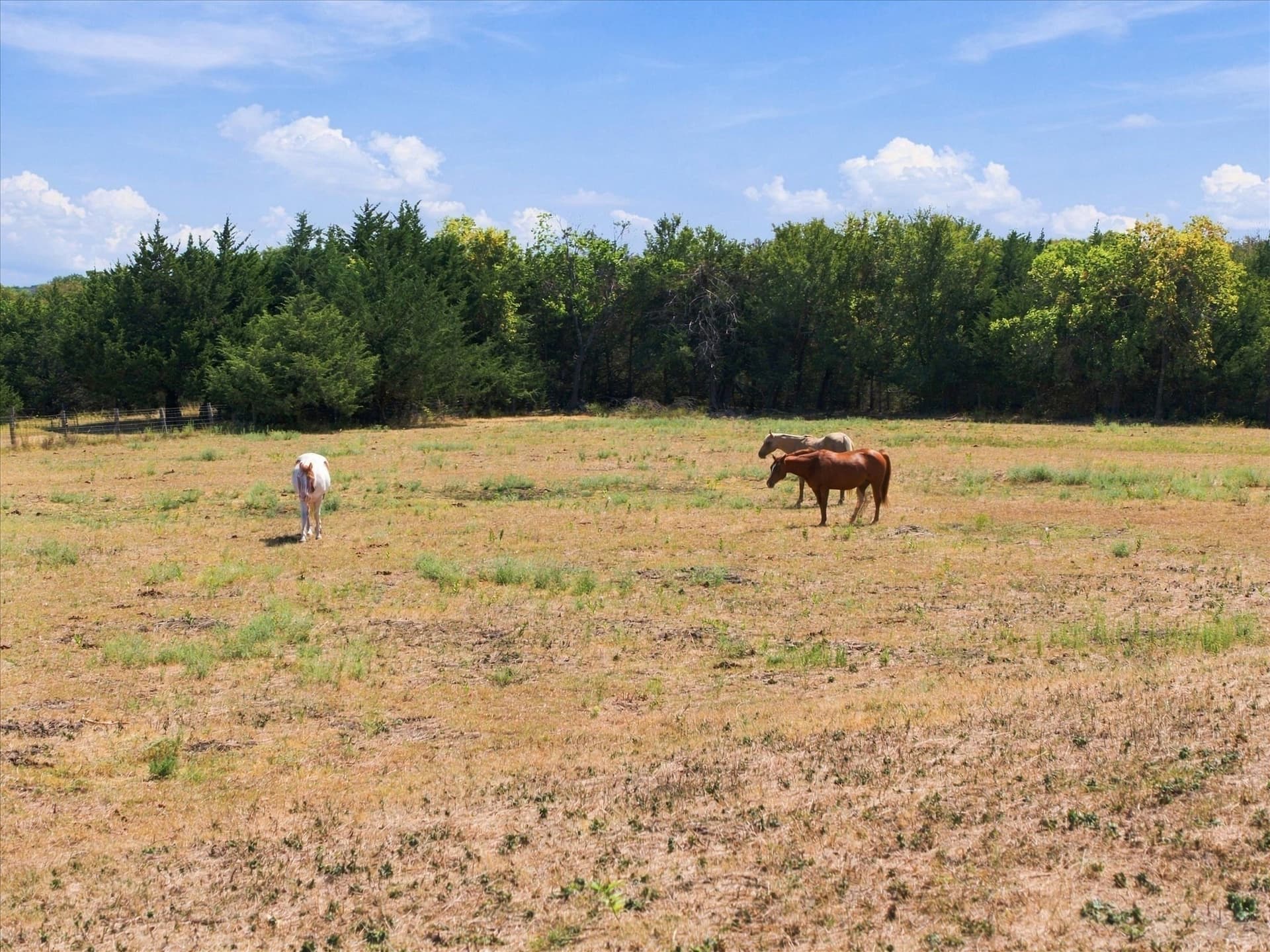 7.75 acres in Rockwall County - photo 13
