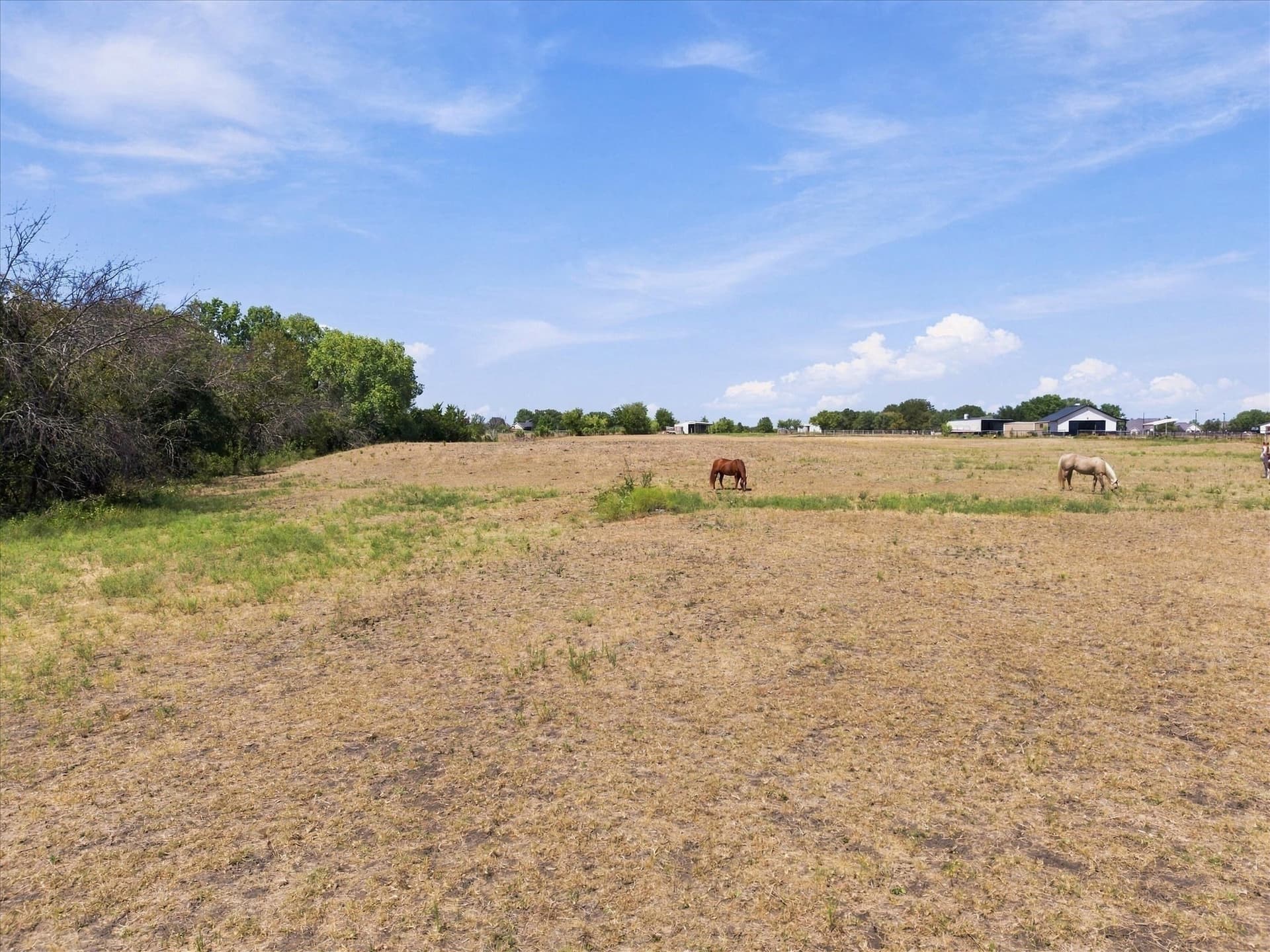 7.75 acres in Rockwall County - photo 10