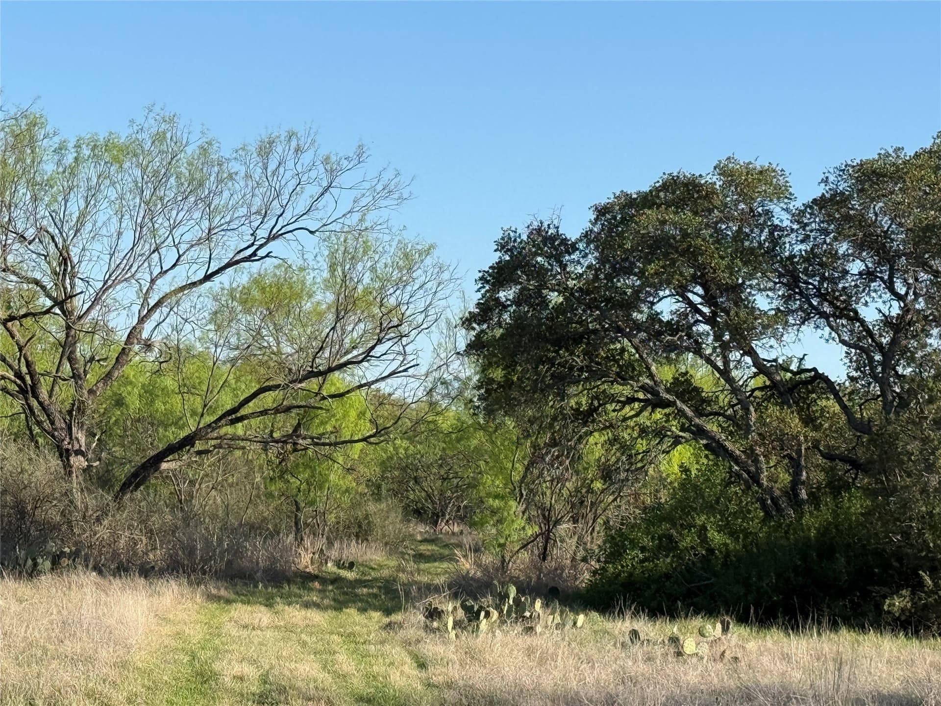 103.74 acres in Brown County - photo 22
