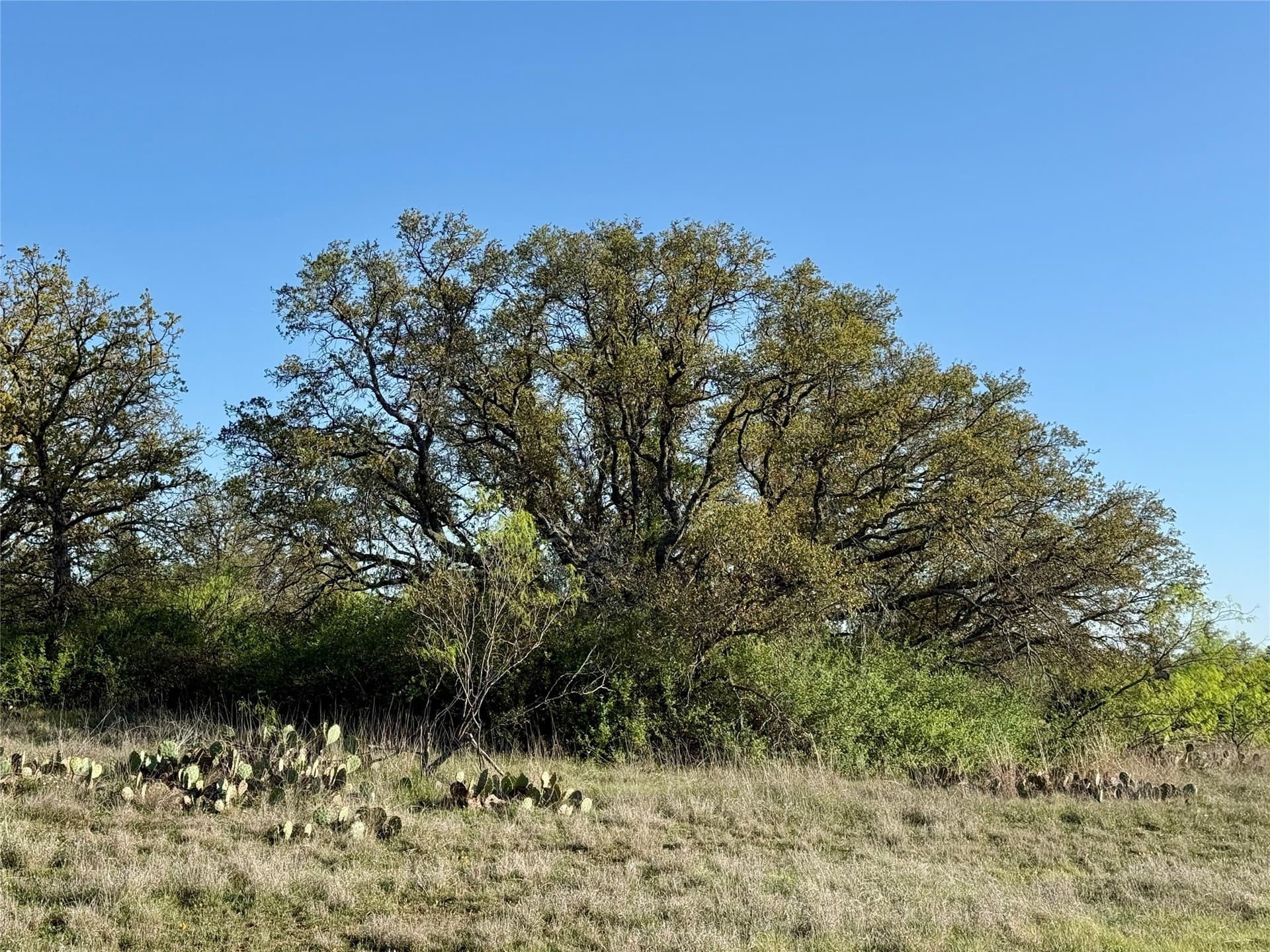 103.74 acres in Brown County - photo 6