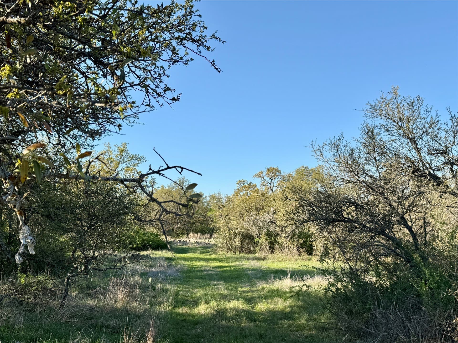 103.74 acres in Brown County - photo 25