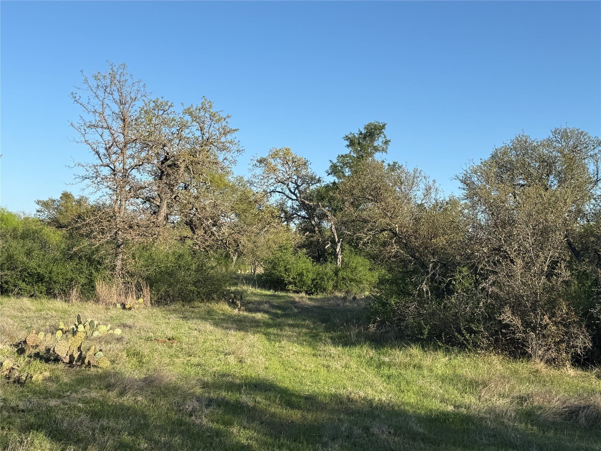 103.74 acres in Brown County - photo 23