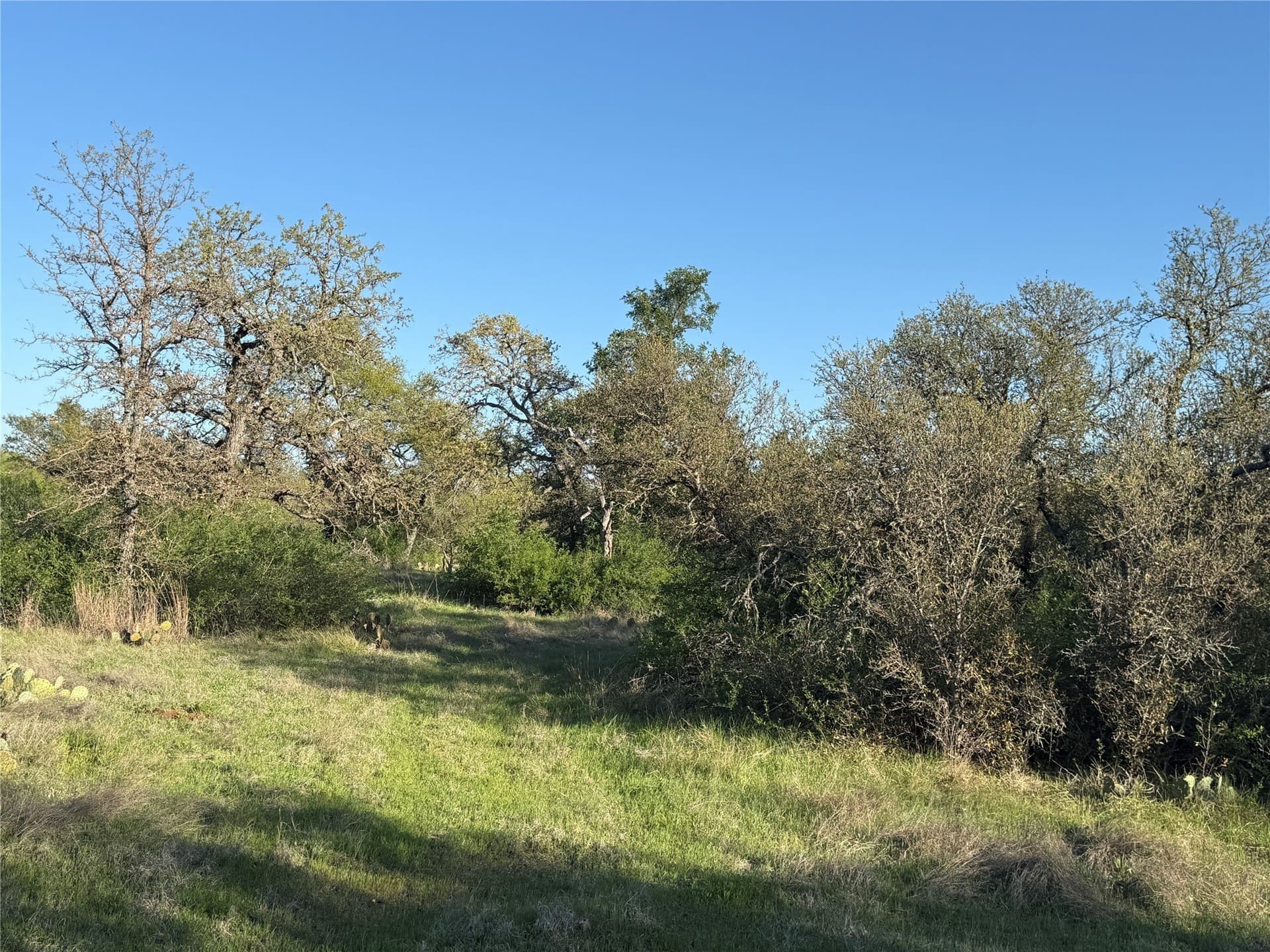103.74 acres in Brown County - photo 9