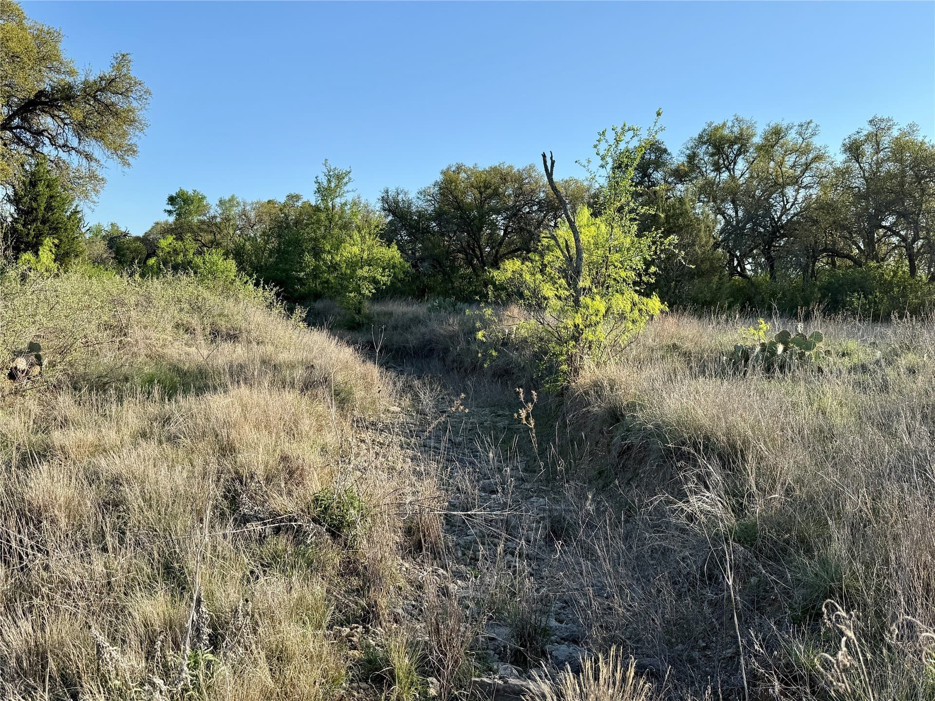 103.74 acres in Brown County - photo 4