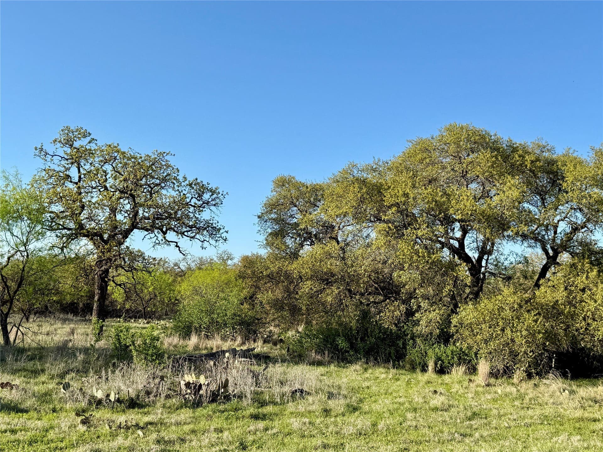 103.74 acres in Brown County - photo 24
