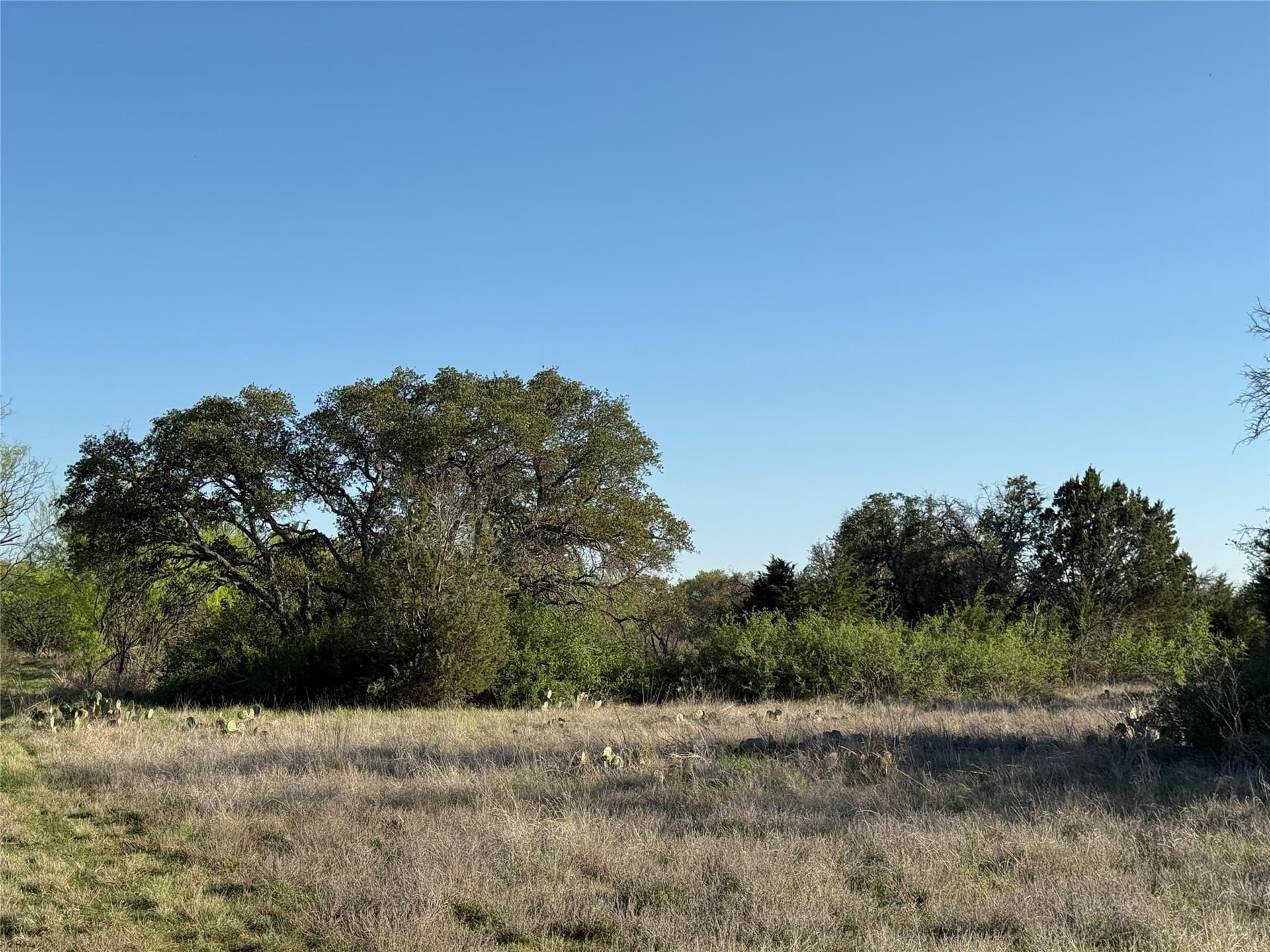 103.74 acres in Brown County - photo 21
