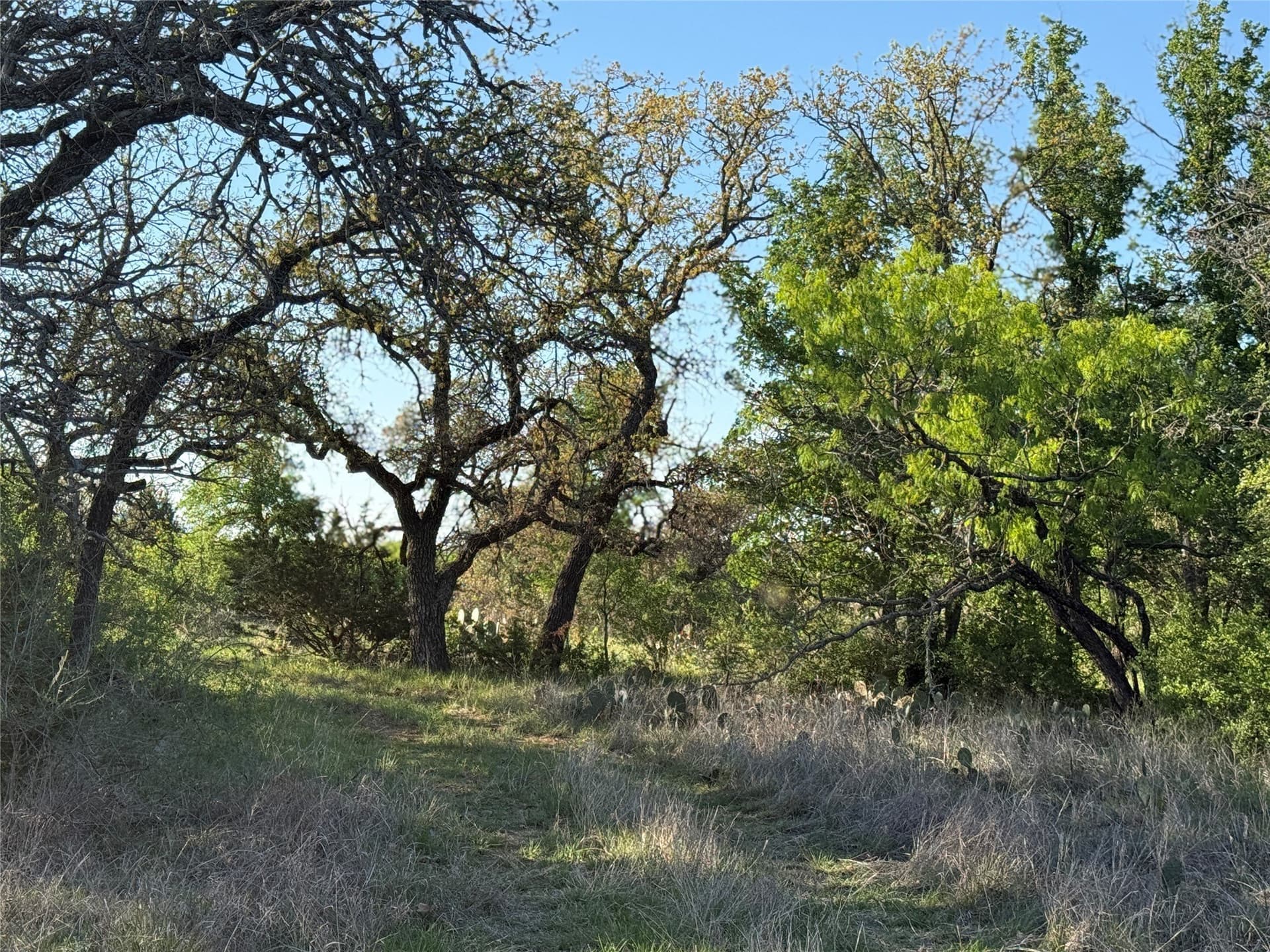 103.74 acres in Brown County - photo 7