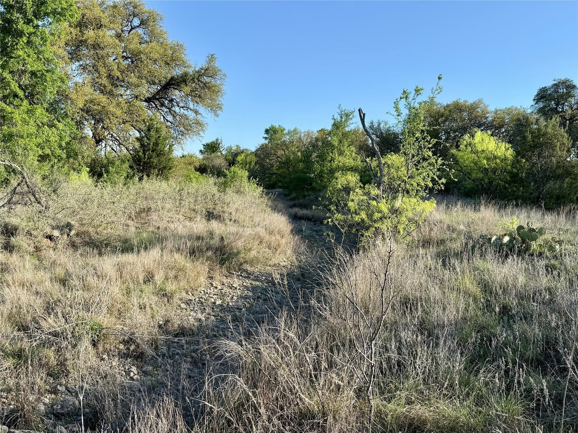 103.74 acres in Brown County - photo 18
