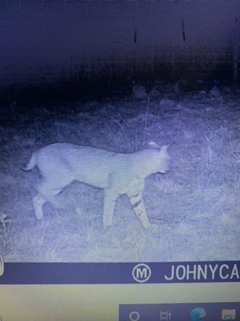 103.74 acres in Brown County - photo 13