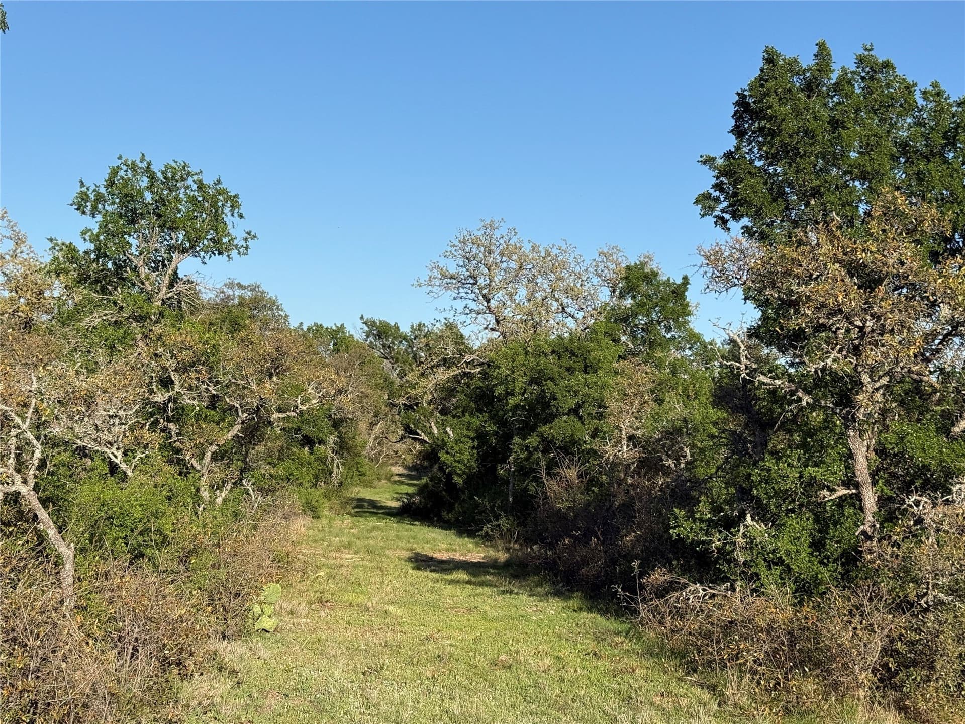 103.74 acres in Brown County - photo 10