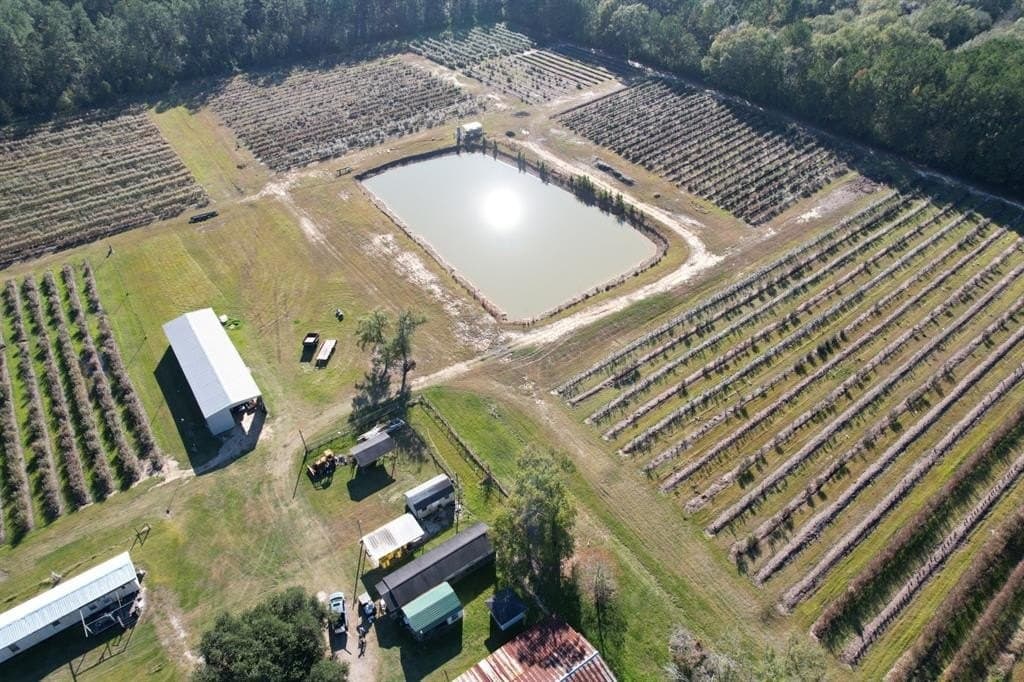 31.84 acres in Hardin County gallery image 4