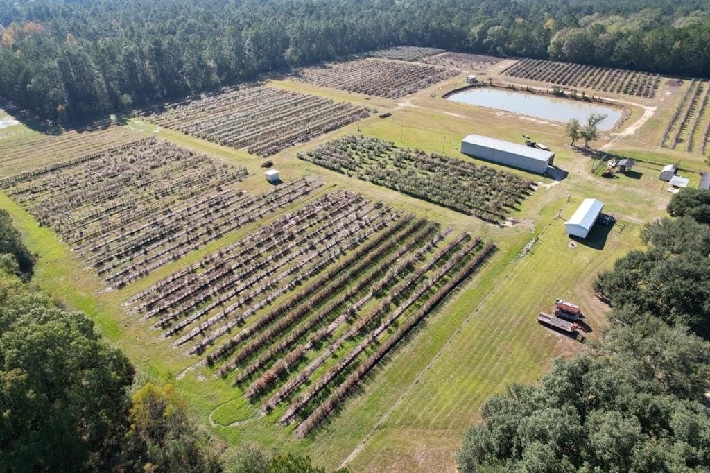 31.84 acres in Hardin County featured view