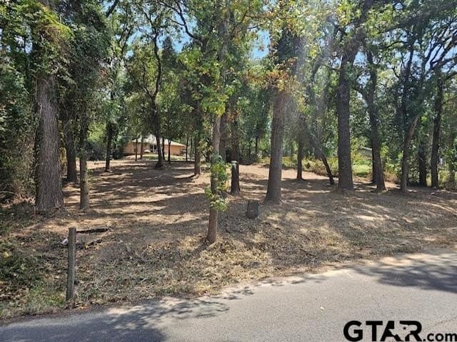 0.25 acres in Smith County - photo 5