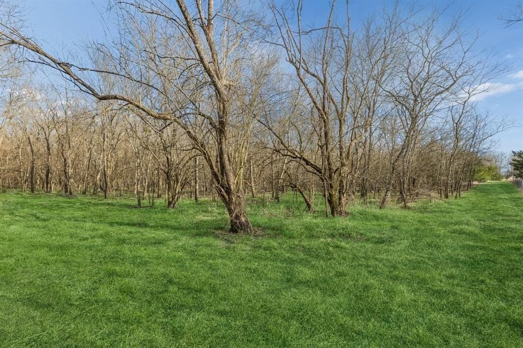 12.1 acres in Hunt County gallery image 3