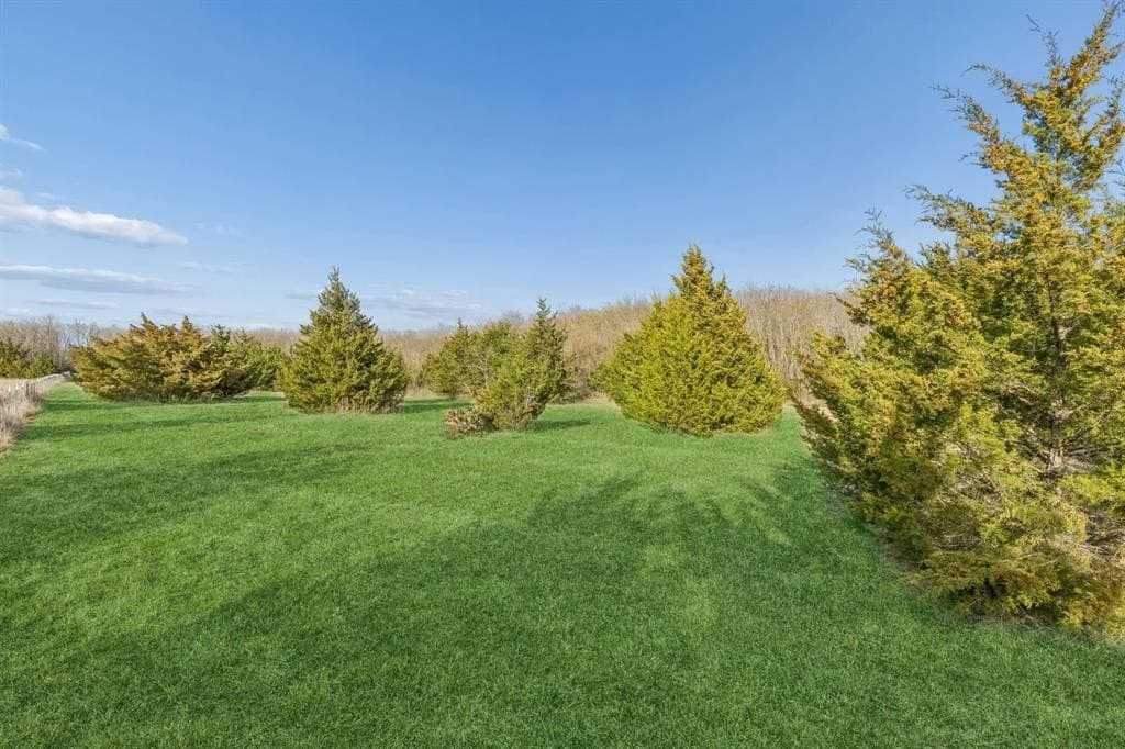 12.1 acres in Hunt County gallery image 2