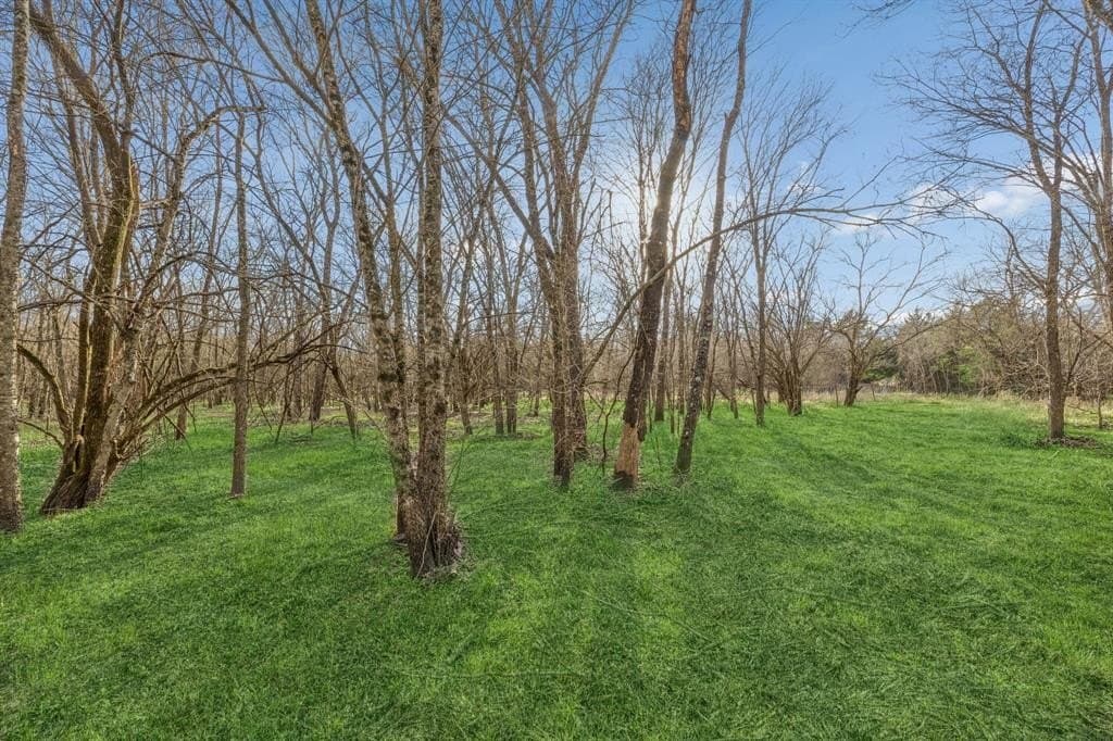 12.1 acres in Hunt County gallery image 4