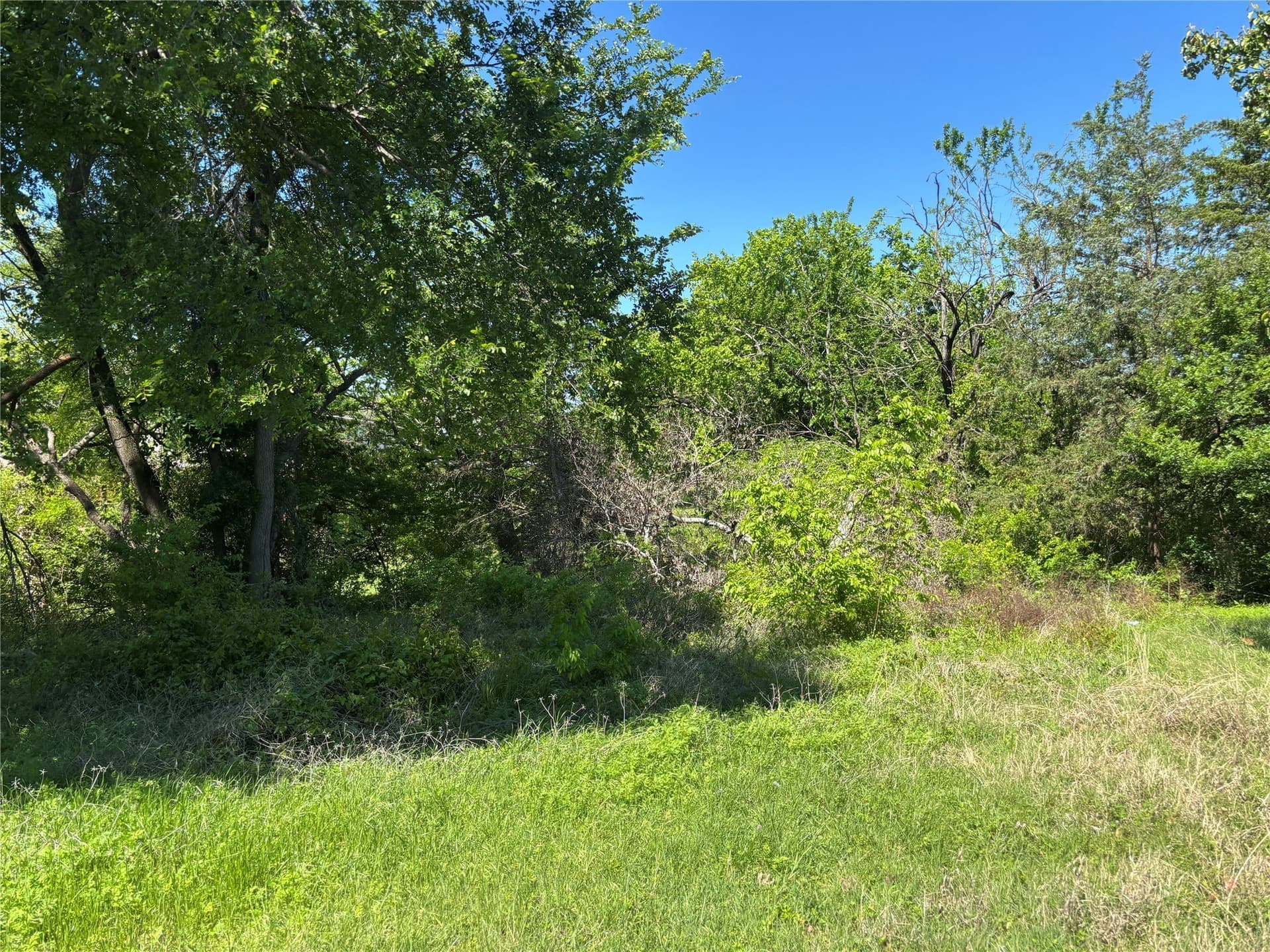 0.32 acres in Collin County - photo 3