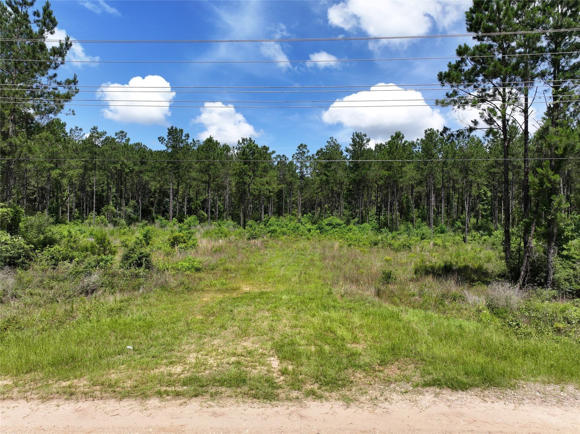 10 acres in Tyler County