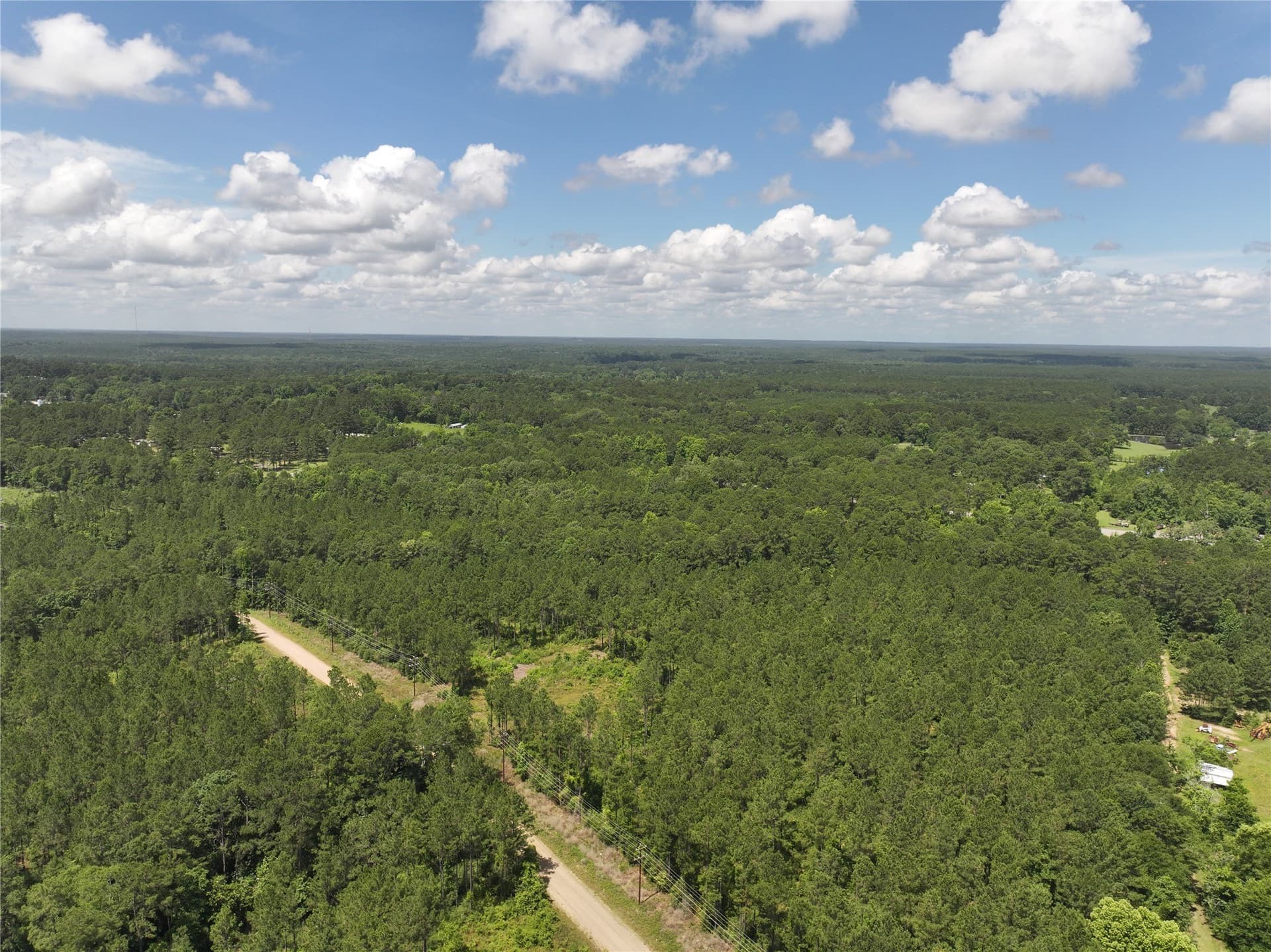 10 acres in Tyler County gallery image 4