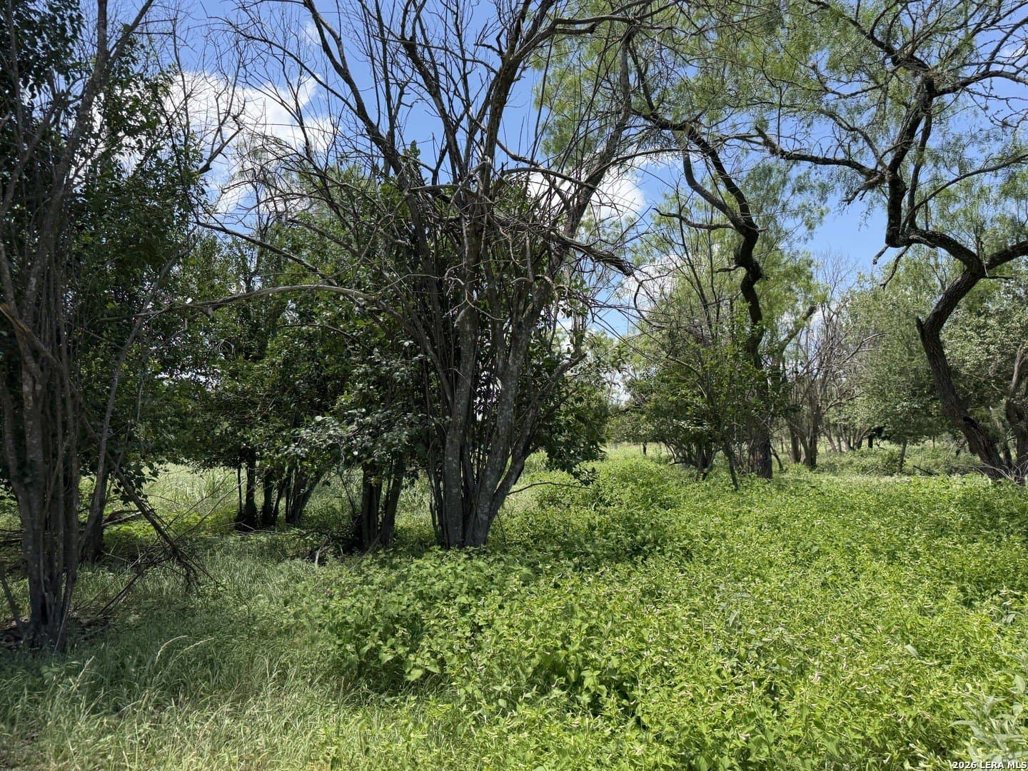 2.61 acres in Comal County - photo 29