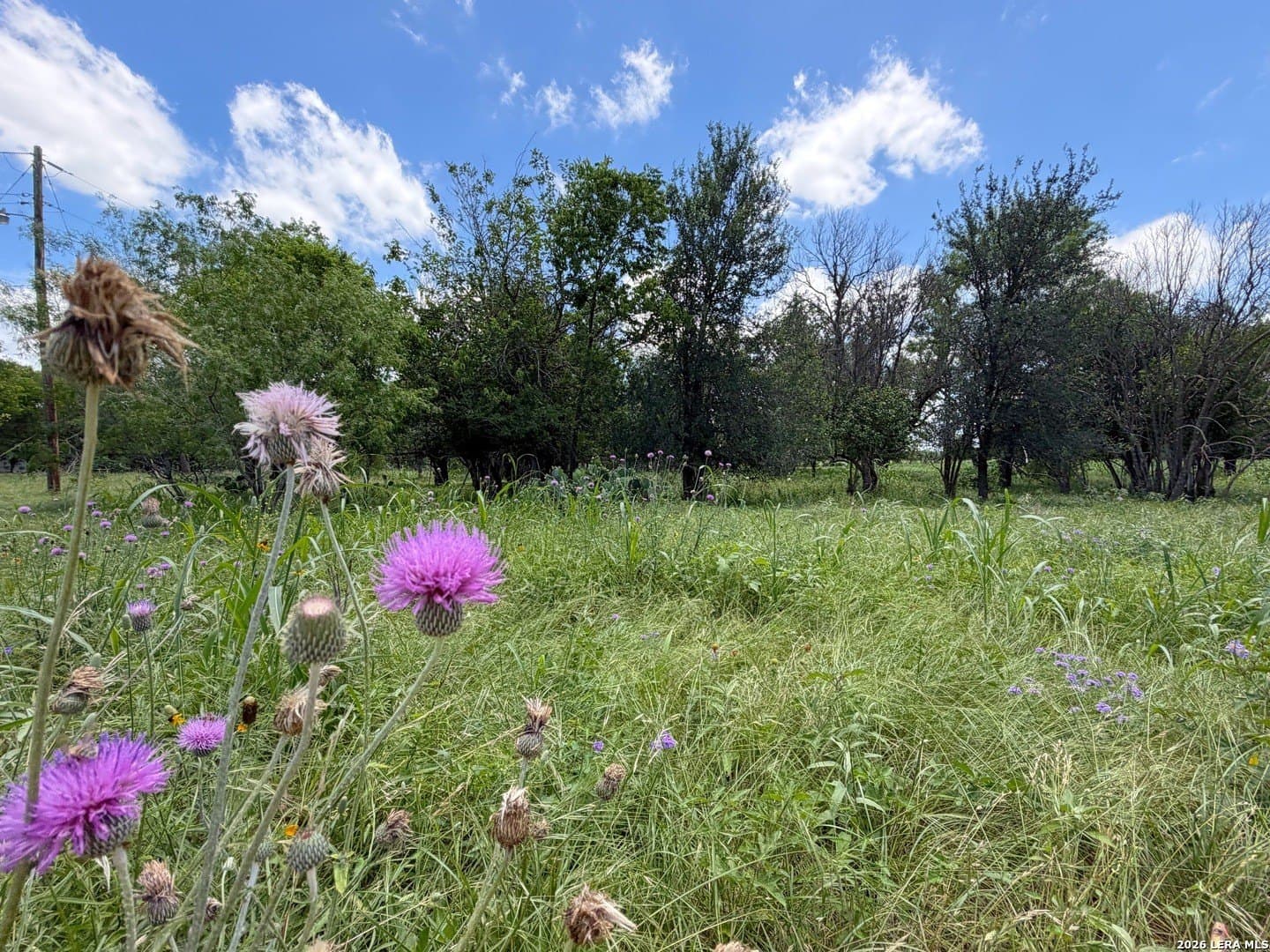 2.61 acres in Comal County - photo 34