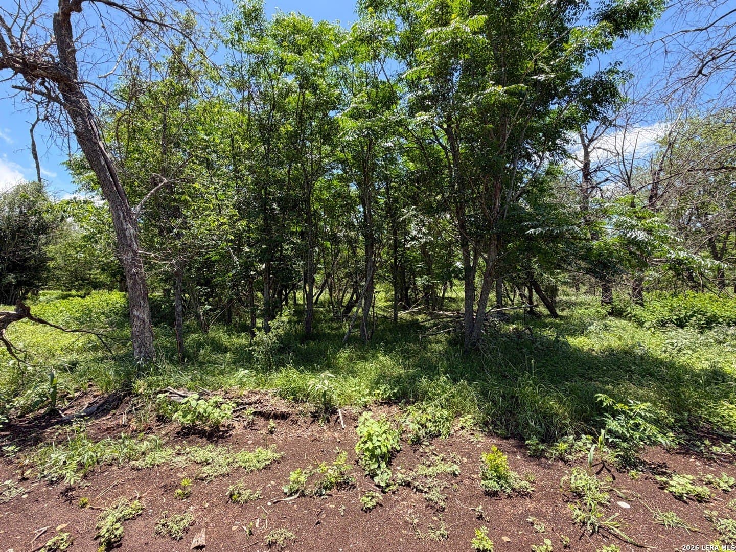 2.61 acres in Comal County - photo 23