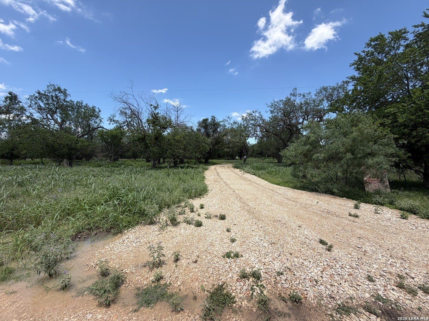 2.61 acres in Comal County - photo 32