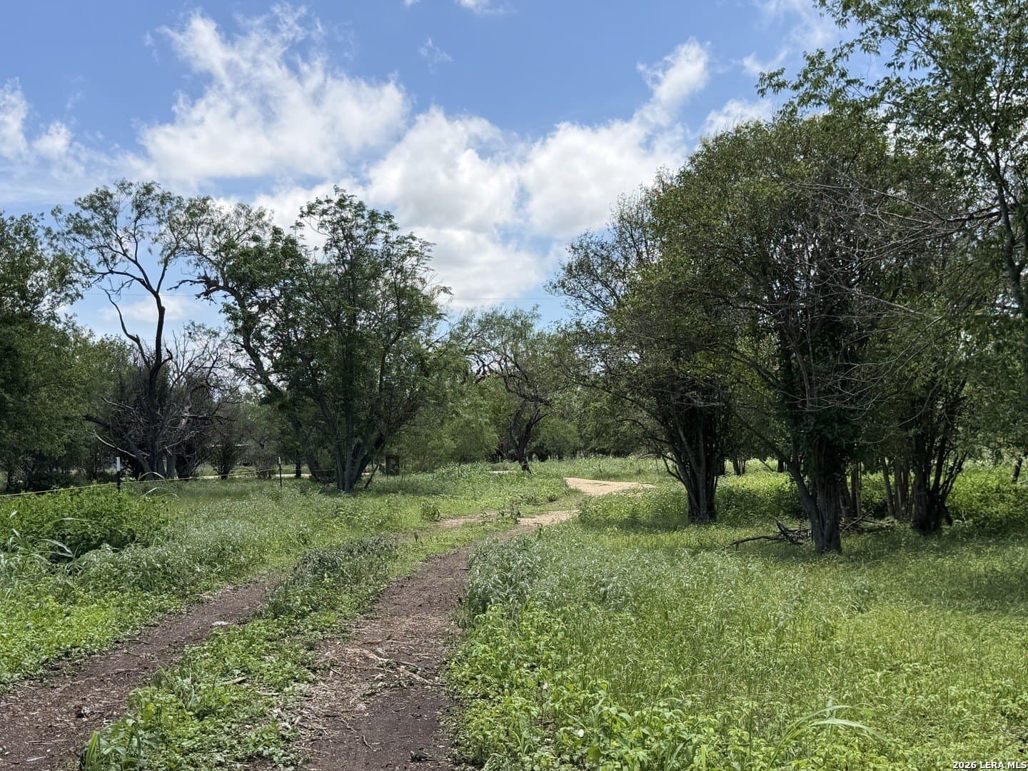 2.61 acres in Comal County - photo 28