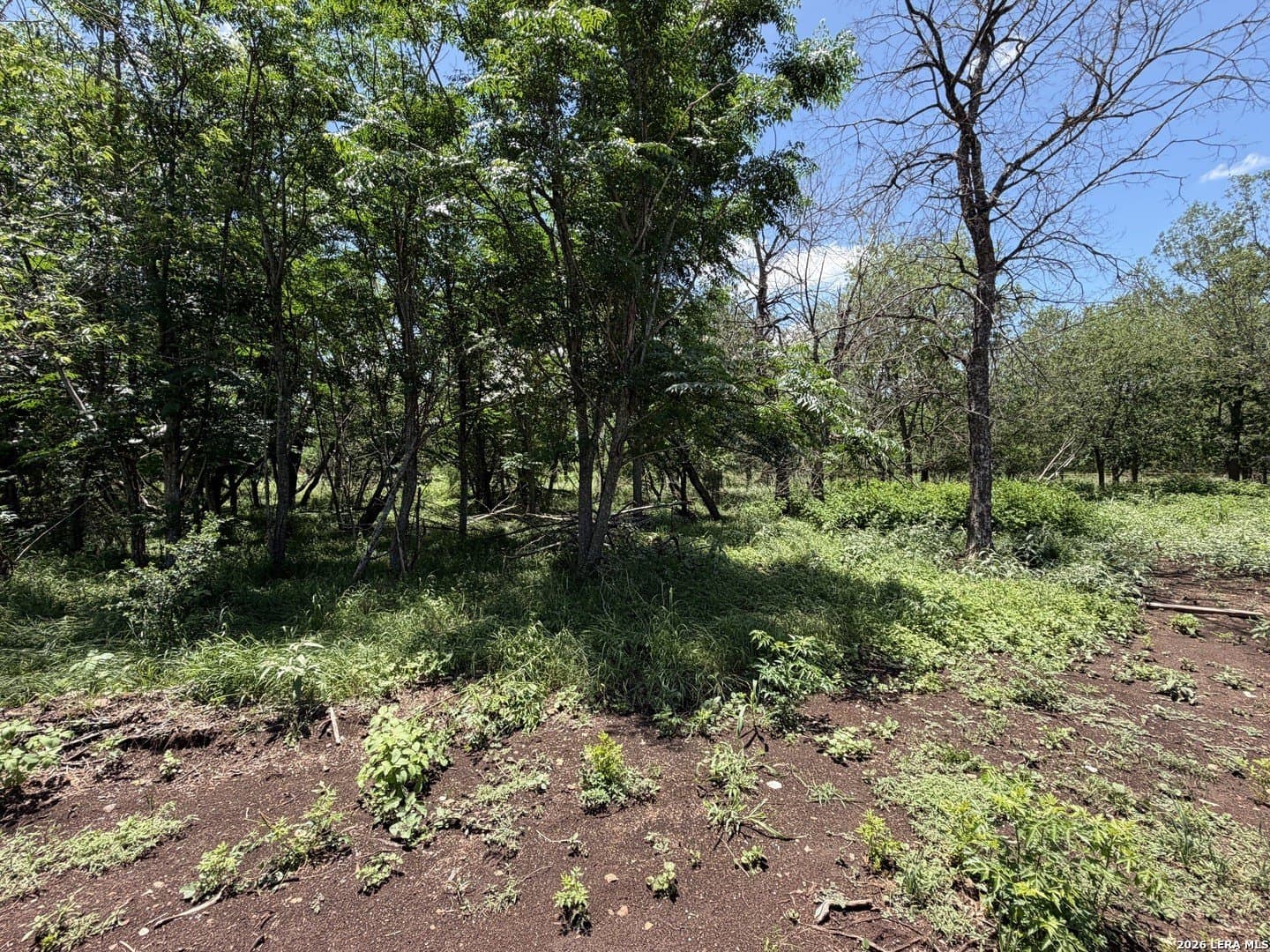 2.61 acres in Comal County - photo 24