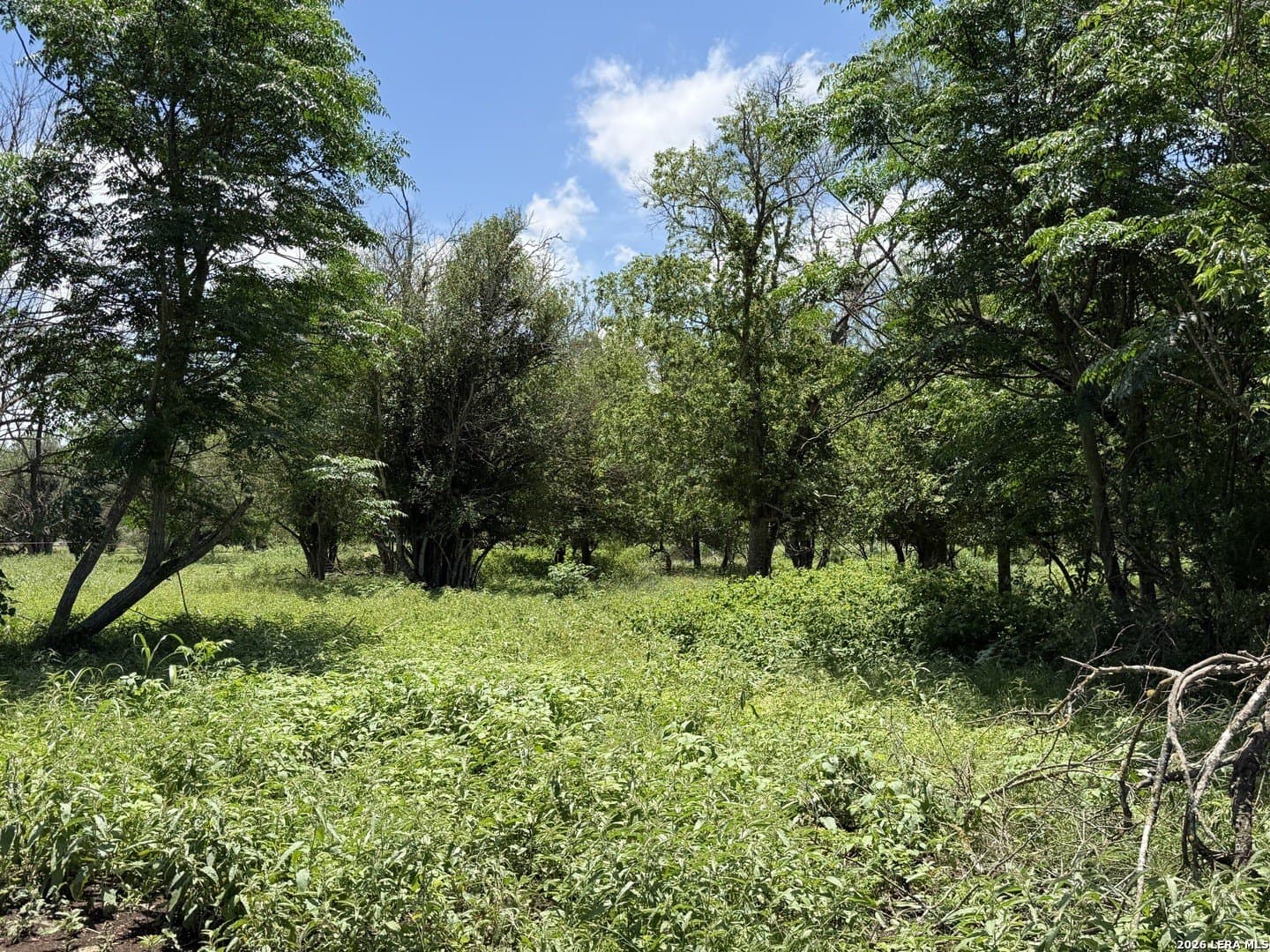 2.61 acres in Comal County - photo 25