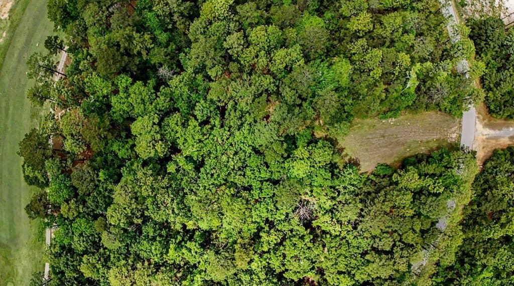 0.59 acres in Texas County gallery image 2