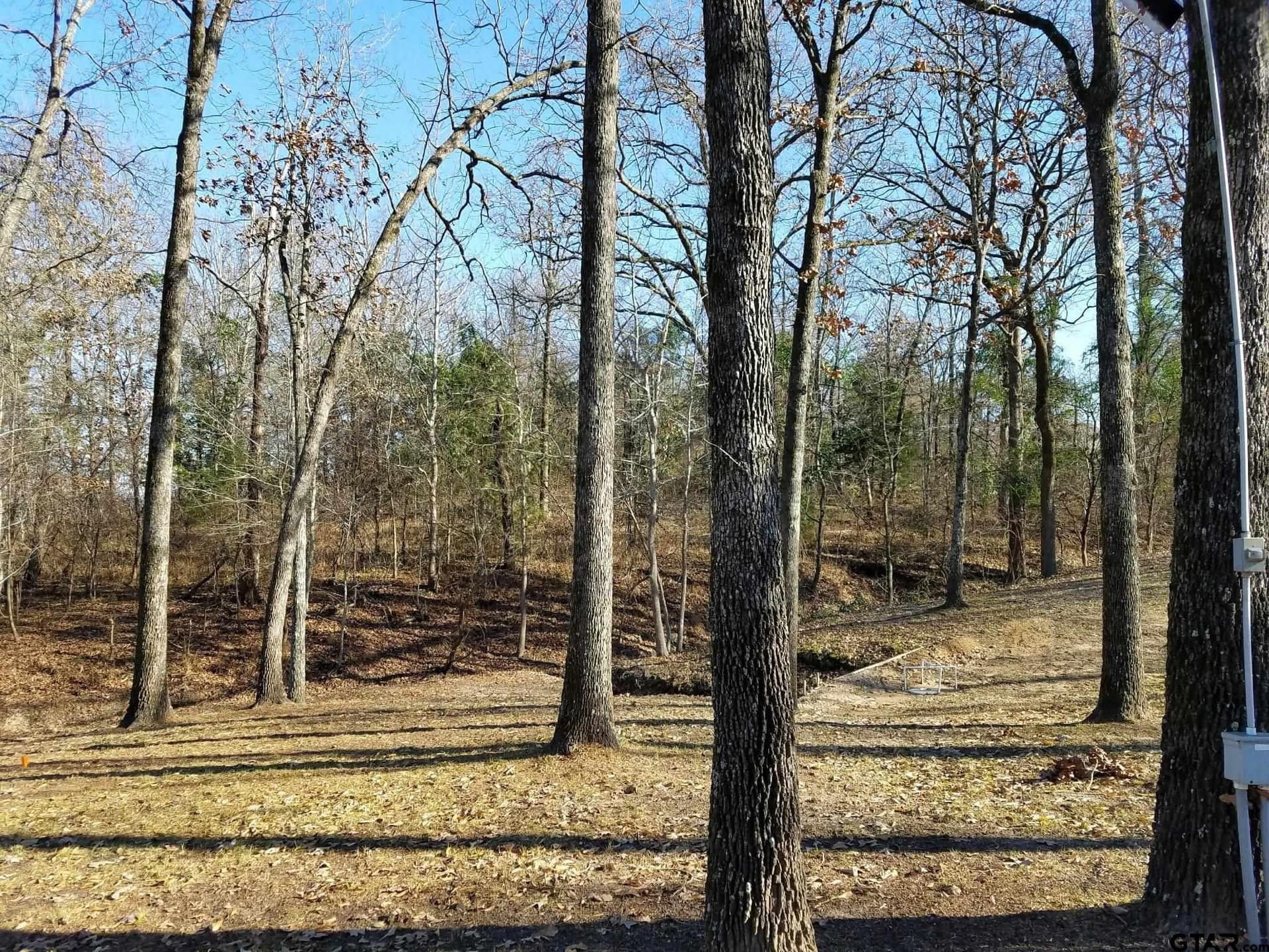 0.52 acres in Wood County gallery image 3