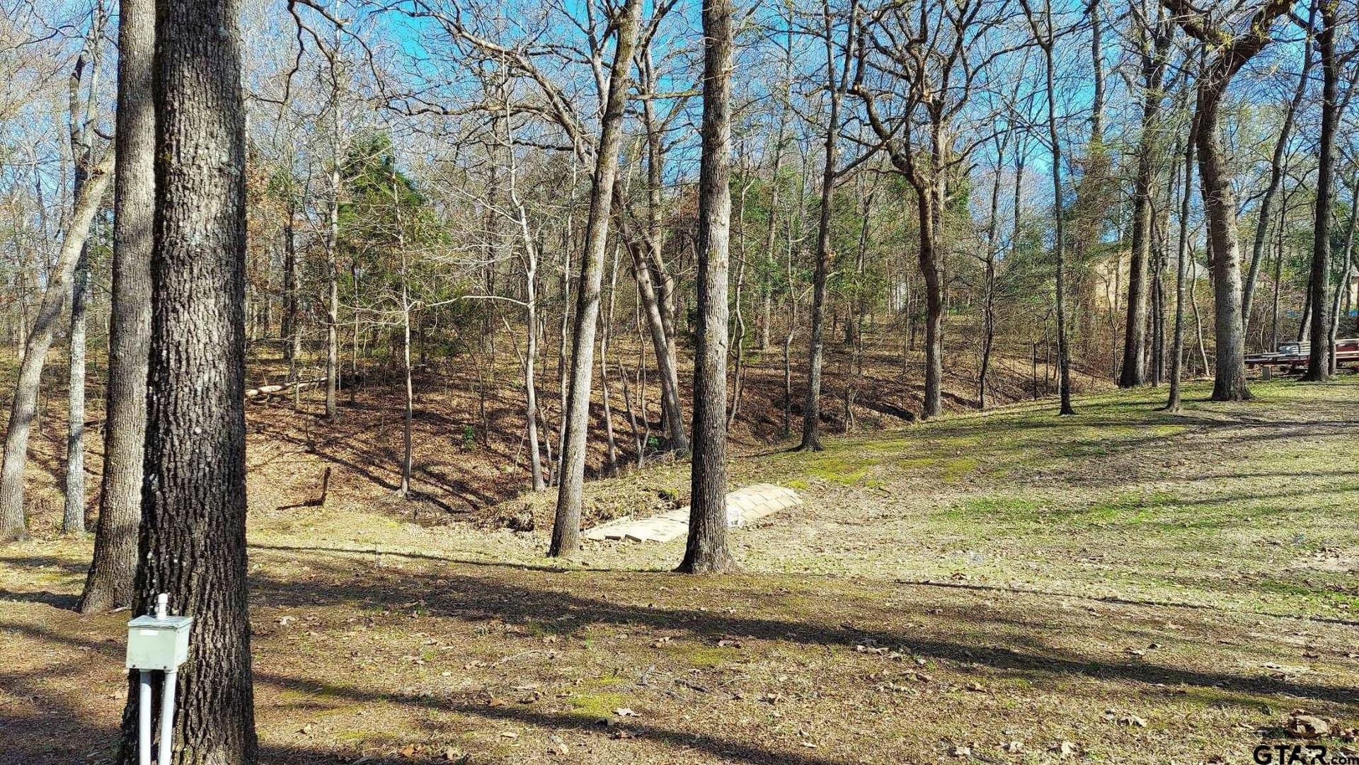 0.52 acres in Wood County gallery image 4