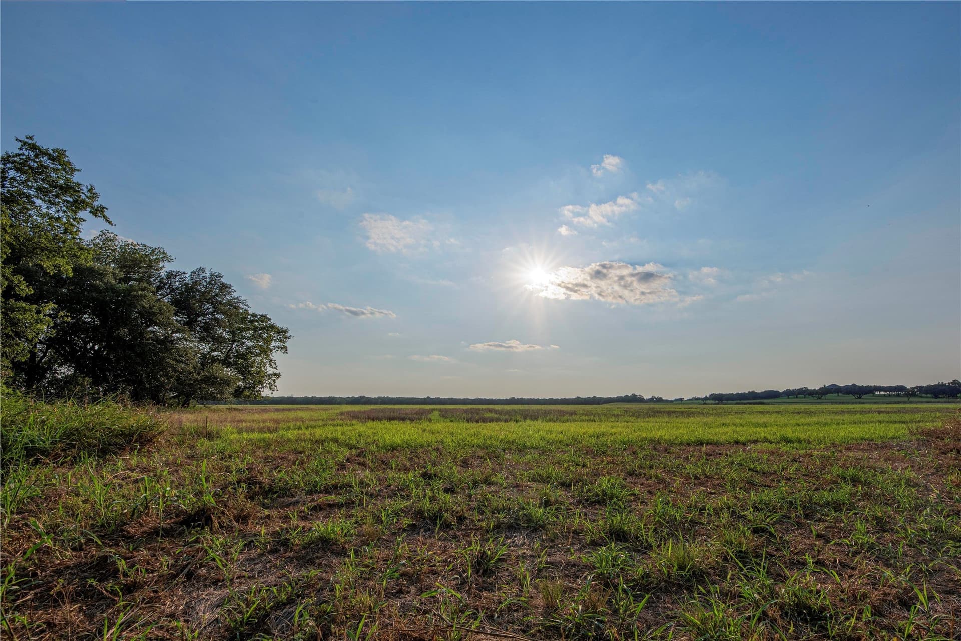 466.52 acres in Coryell County - photo 38