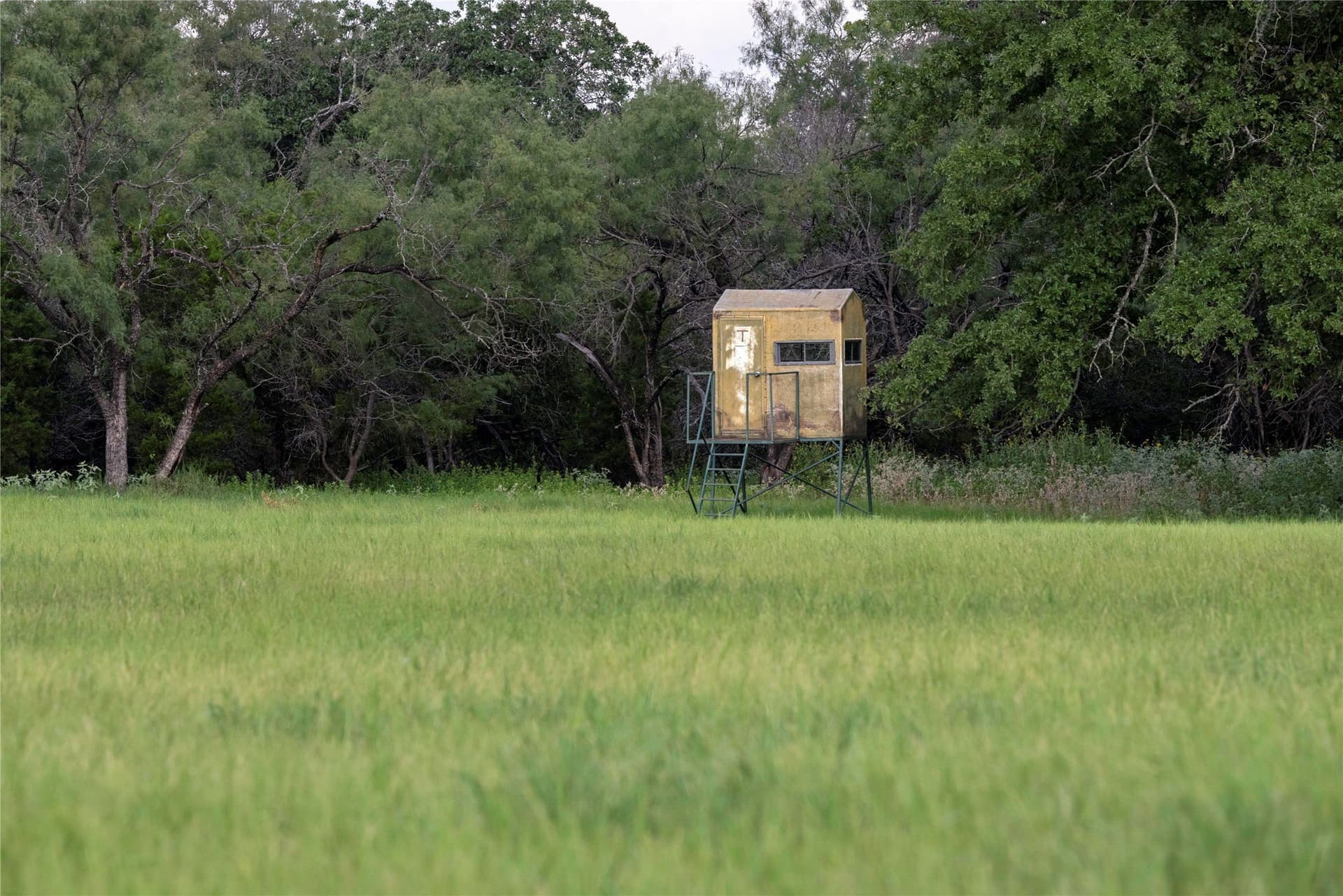 466.52 acres in Coryell County - photo 27